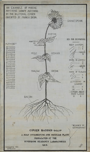 A diagram of a flower, from roots to bloom, the roots labeled as Bacon, the blom as Shakespeare, and other Elizabethan writers labeled for the leaves on the stem. The  biliteral alphabet code is on the left side, and a legend on the right. 