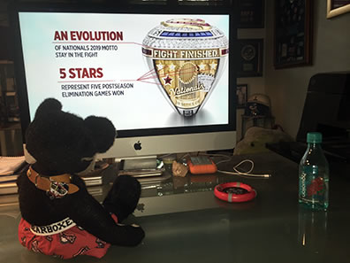 Burlington in Nationals boxer shorts watches the ring unveiling on a desktop iMac, showing the side of the ring with "Fight FInished" moto and 5 stars representing five postseason elimination games won.